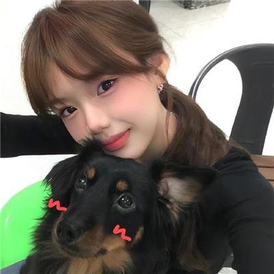 2010年香港一周票房冠军